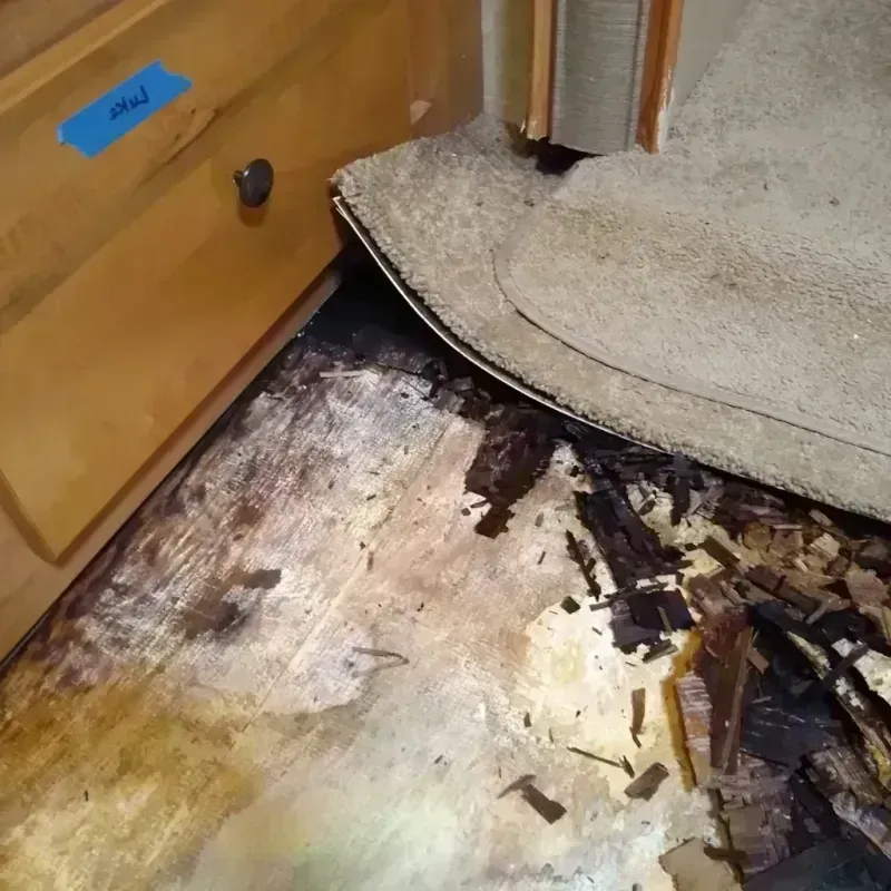 Wood Floor Water Damage in Shady Side, MD